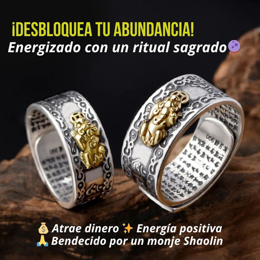 Anillo Feng Shui 💰Atrae Riqueza y Abundancia✨ bendecido por un monje Shaolin para potenciar su energía